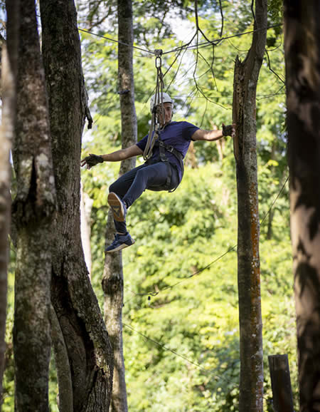 Canopy