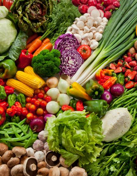Vegetais cultivados na horta orgânica do Hotel Fazenda Gamel
